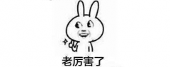 需要征平方米的衡宇